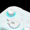 FUNLAB Firefly Pro Switch Wrls Controller-Kakariko