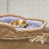 3DS Nintendogs+Cats-Toy Poodle&new Friends Select