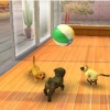 3DS Nintendogs+Cats-Golden Retr&new Friends Select