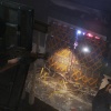 PC Tom Clancy's Rainbow Six: Siege Gold Season 2