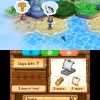 3DS Animal Crossing: New Leaf