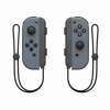 SWITCH ARMS + Joy-Con (L) Grey + Joy-Con (R) Grey