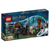 LEGO Harry Potter TM 76400 Bradavice: Kočár a test
